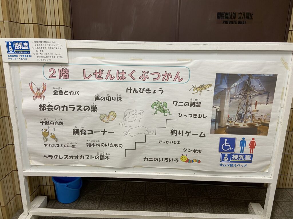 市川市自然博物館の案内図