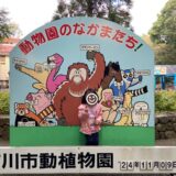 障害者手帳を使おう！混雑を避ける穴場スポット！市川市動植物園を満喫する！後編