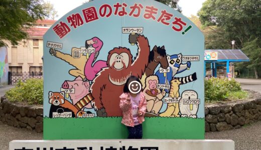 障害者手帳を使おう！混雑を避ける穴場スポット！市川市動植物園を満喫する！後編