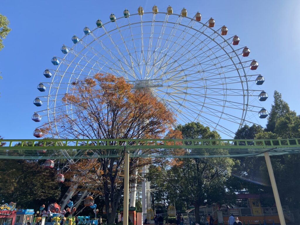 観覧車の写真